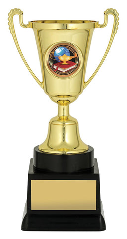 FFC05C - Academic 3D Cup 165mm