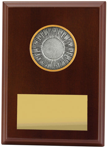 LPF401B - Plaque Peak Holder 175mm