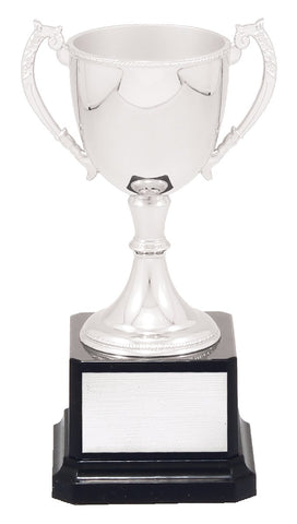 Engravable Cups 170mm