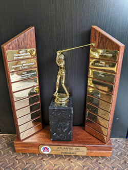 Twin Plinth Perpetual Timber Trophy 20 Years
