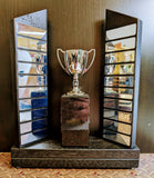 Twin Plinth Perpetual Timber Trophy 20 Years