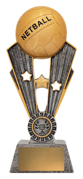 A1403C Netball Fame 245mm