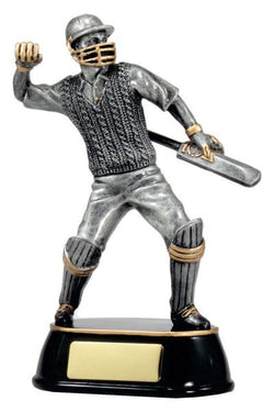A357A Cricket Celebration 205mm