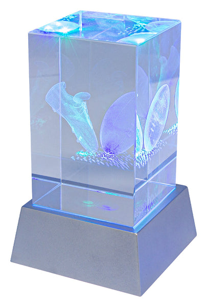 CBLH813 Light Up Crystal 110mm