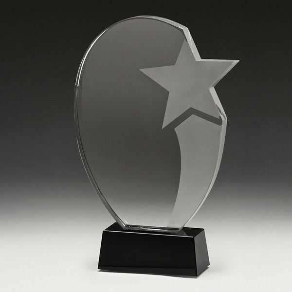 CC026 Recognition Star 260mm