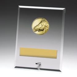 DY135C - Glass Plaque Horse 200mm