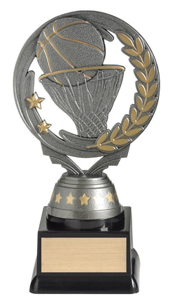 FT260B - Basketball Budget Silver 165mm