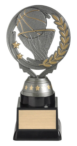 FT260C - Basketball Budget Silver 180mm
