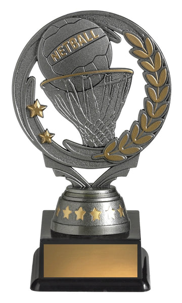 FT291A - Netball Budget Silver 150mm