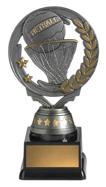 FT291B - Netball Budget Silver 165mm