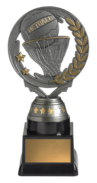 FT291C - Netball Budget Silver 180mm