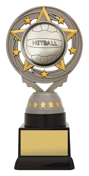 FT591C Silver Torch Netball 180mm