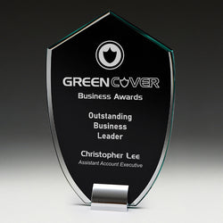 GM703B Cambridge Glass / Metal Award 205mm