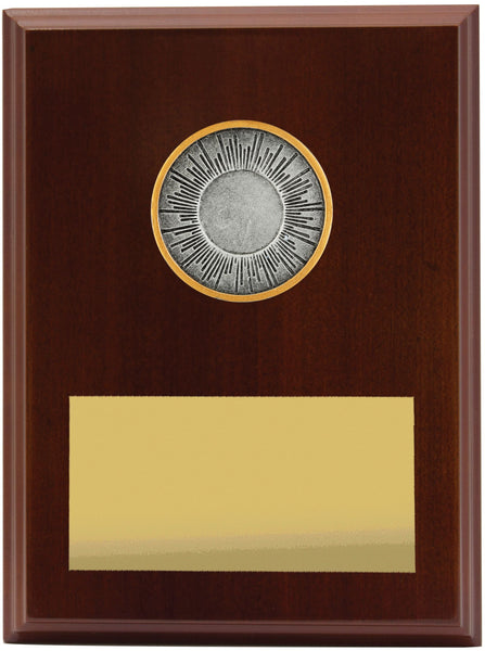 LPF401C - Plaque Peak Holder 200mm