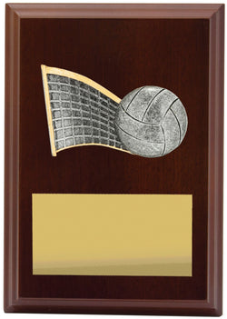 LPF427A - Plaque Peak Volleyball 150mm