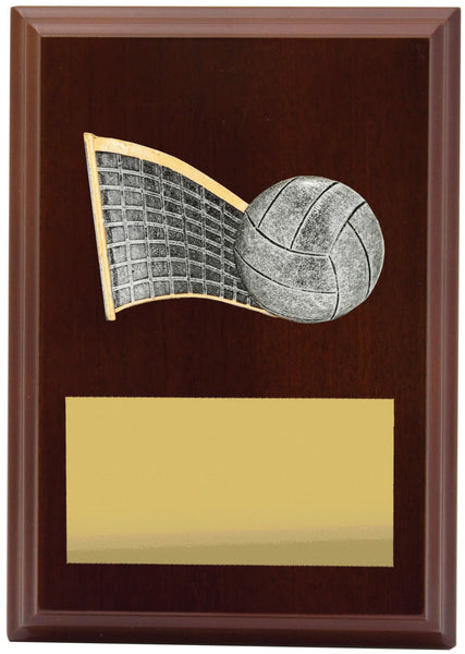 LPF427A - Plaque Peak Volleyball 150mm
