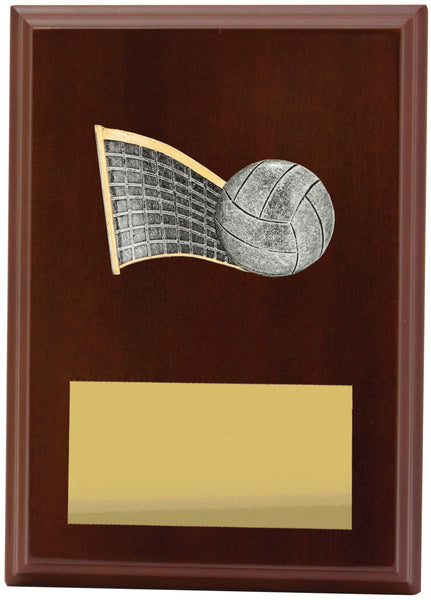 LPF427B - Plaque Peak Volleyball 175mm