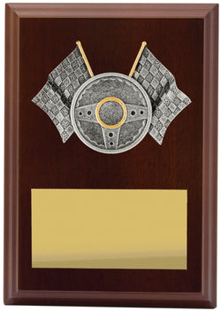 LPF484A - Plaque Peak Motorsport 150mm