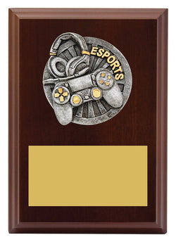 LPF498A - Plaque Peak Esports 150mm