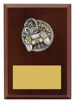 LPF498B - Plaque Peak Esports 175mm