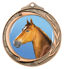 M102B-C352 - Wreath Medal 50mm Bronze