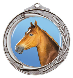 M102S-C352 - Wreath Medal 50mm Silver