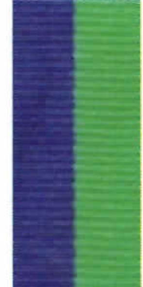 BLUE/GREEN