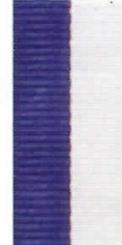 RY35 BLUE/WHITE