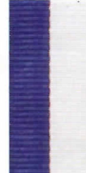 RY35 BLUE/WHITE