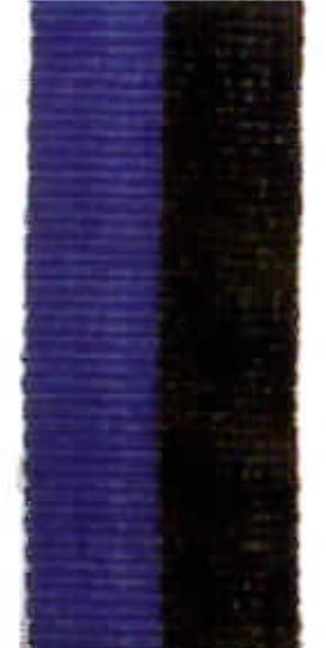 BLUE/BLACK