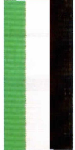BLACK/WHITE/GREEN
