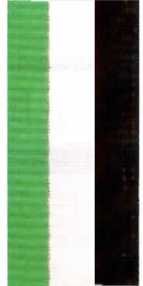 BLACK/WHITE/GREEN