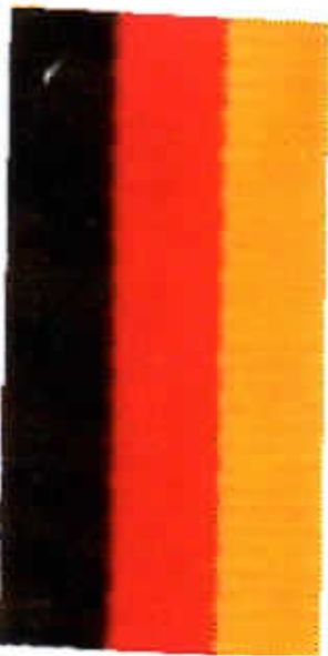 BLACK/RED/YELLOW