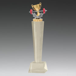 UC62C - Gym Crystal 290mm