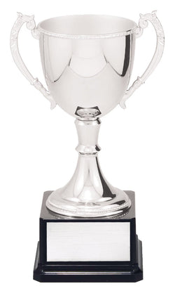 Engravable Cups 250mm