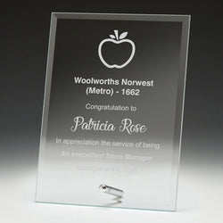 WP51C Glass Budget Plaque 200mm